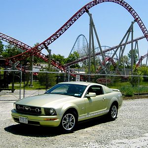 maverick/millennium force