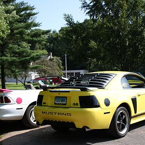 My Zinc Yellow 01 GT &  My friends White and Pink 97 Vert