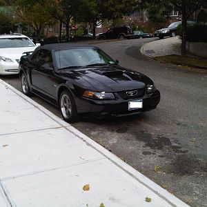 IMG00042 20090928 1608