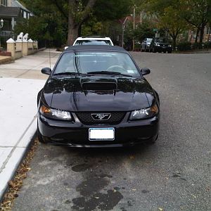 IMG00043 20090928 1608