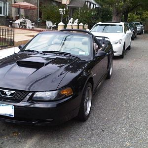 IMG00046 20090928 1609