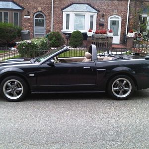 IMG00047 20090928 1609