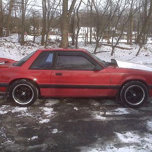 351W with trick flow upper and lower intake 75mm throttle body brute force cold air dart pro one heads coming soon turbo with power pipe