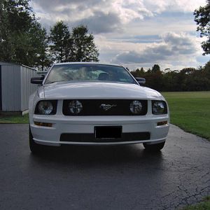 Mustang Front