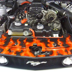 Did some work to Scotts badass Mustang