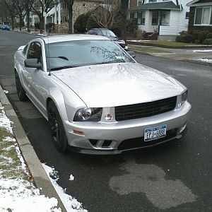 mustang