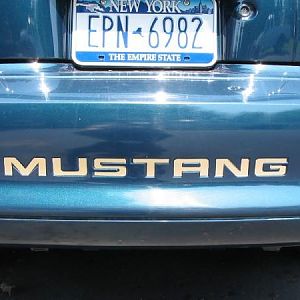 mustang baby