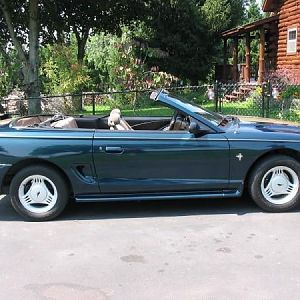 shes a shining beauty