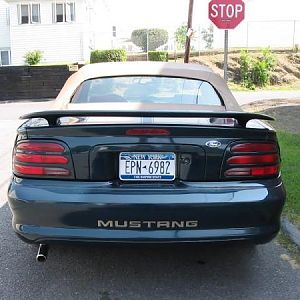 mustang ass