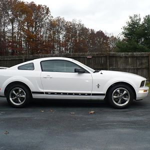 Mustang 001