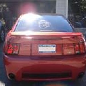 kiss my ass rear end of stang