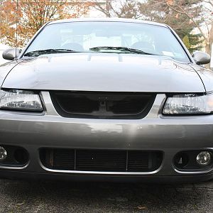 03 Cobra front