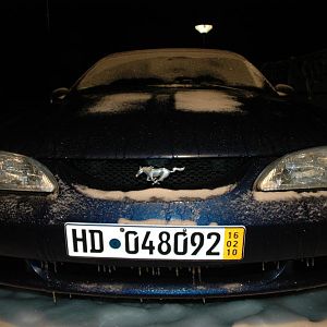 with the temp. german plates