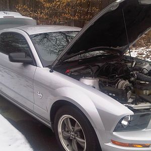 Just looking at the hood to dream....