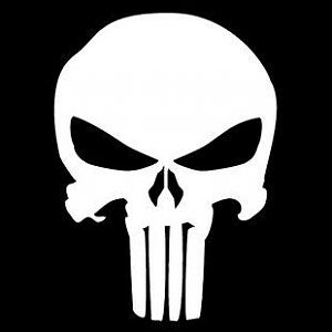 Punisher Skull