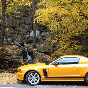 I think the leaves are Grabber Orange too!